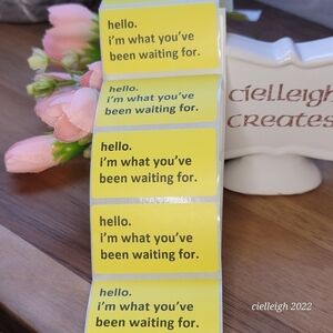 hello, I'm what you've been waiting for Packaging Label Sticker